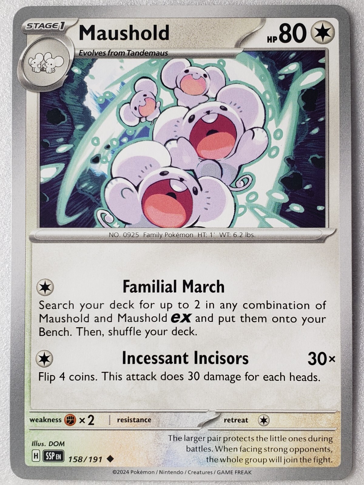 Maushold 158/191 NM / M Surging Sparks Pokemon Card $2 Combined Ship