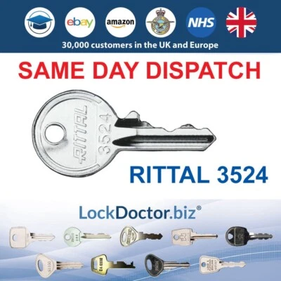 3524 RITTAL Key - Replacement Key for RITTAL SZ Locks 3524E (Same Day Dispatch) - Image 1 of 4