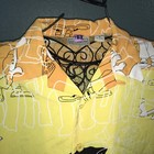 Picture 4 of 12