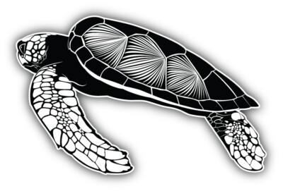 Tortoise Art Decor Car Bumper Sticker Decal