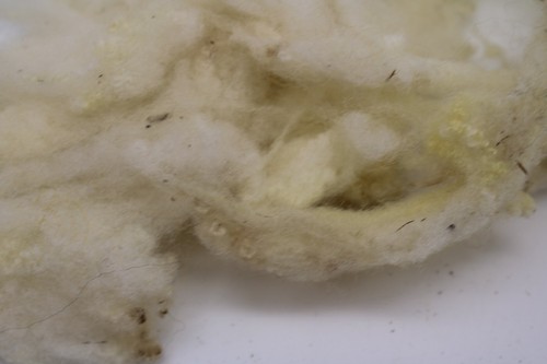 Natural Wool Roving Top For Needle Felting Hand Spinning DIY Crafts -- CHOICE - Picture 407 of 462