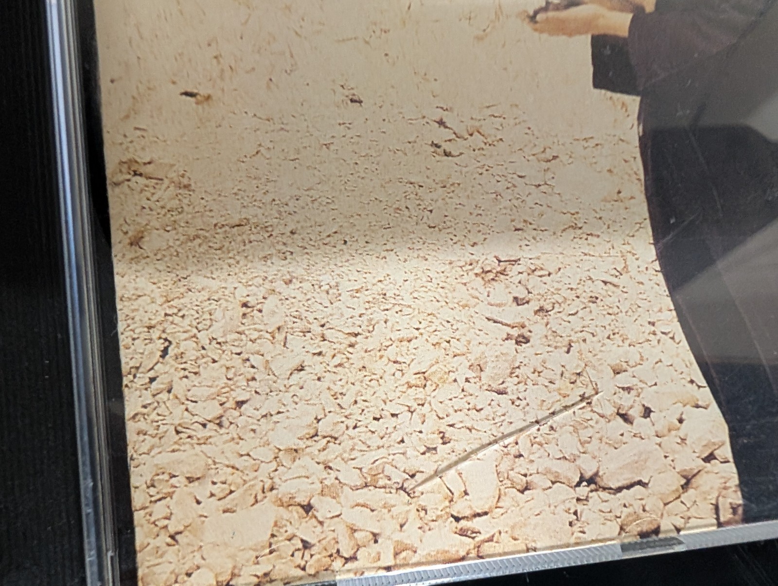 Picture 2 of 4