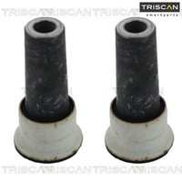 2X Lagerung FüR Lenker Triscan 850028844 Buchse 2 Querlenkerlager Vorne