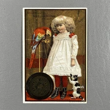 Victorian Trade Card Willimantic Thread Girl Parrot Cat Kitty Home Treasures