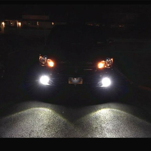 Brightest LED Xenon White H11 Fog Light Bulb, Best Lumen Per Dollar Value Lamp - Picture 6 of 11
