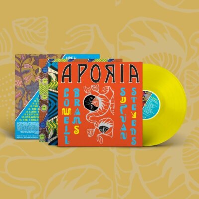 Sufjan Stevens & Lowell Brams Aporia YELLOW VINYL LP Record & MP3! New Age Album