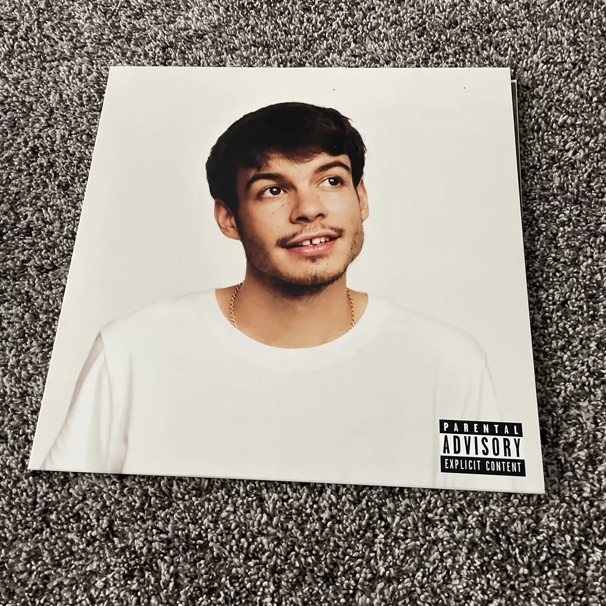 Pony By Rex Orange County 12” Vinyl Record