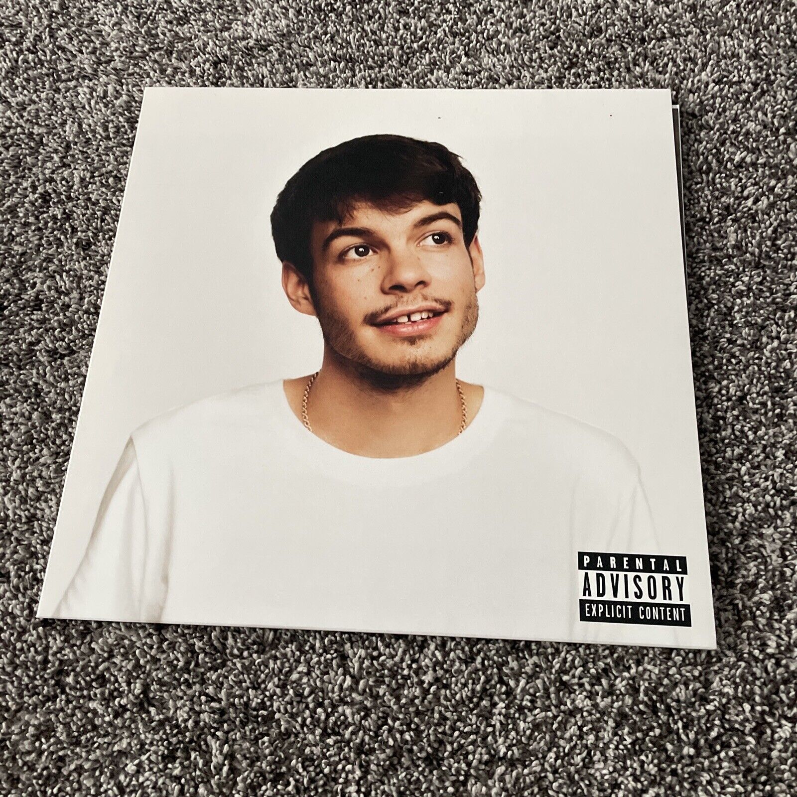 Rex Orange County ponies up a new album – The Chant