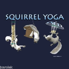 Squirrel Yoga T shirt Cotton S M L XL XXL NWT Blue 