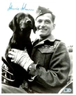 Johnny Johnson Signed 8x10 World War II WW2 B&W Photo AUTO AI COA