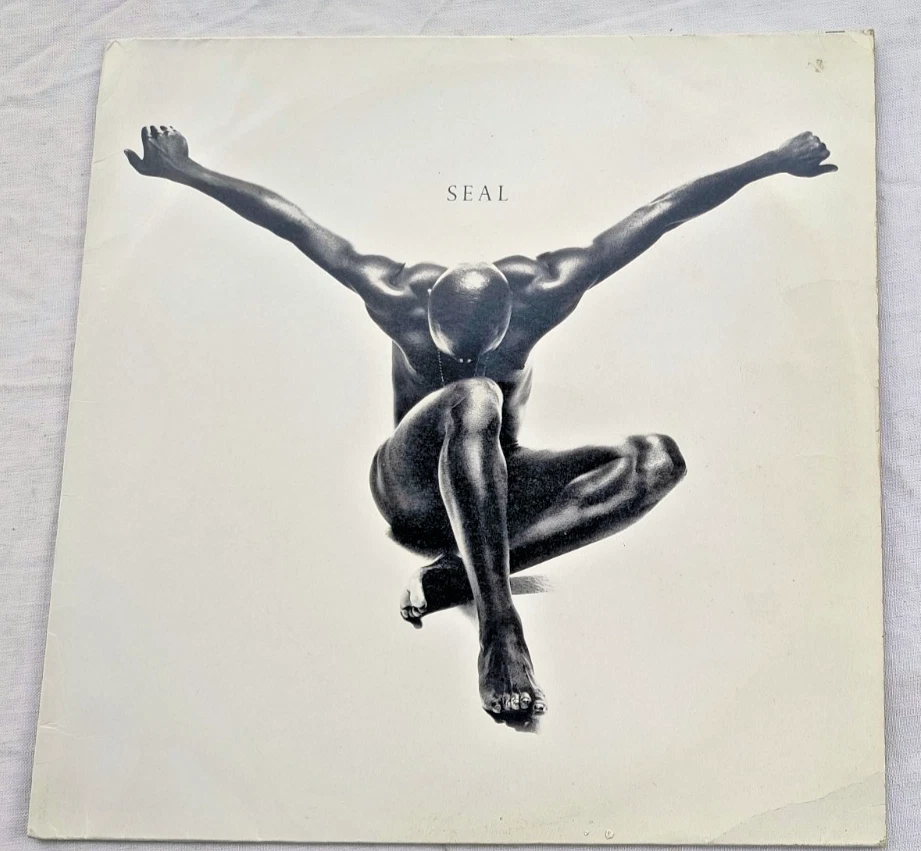 Seal Kiss From A Rose In Vinyl Records for sale - eBay