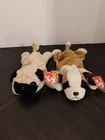 Lot Of 2 Vintage Beanie Baby Dogs Bernie And Pugsly bb11