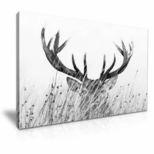 Deer Stag Black and White Stretched Canvas Print Wall Deco Art More Sizes