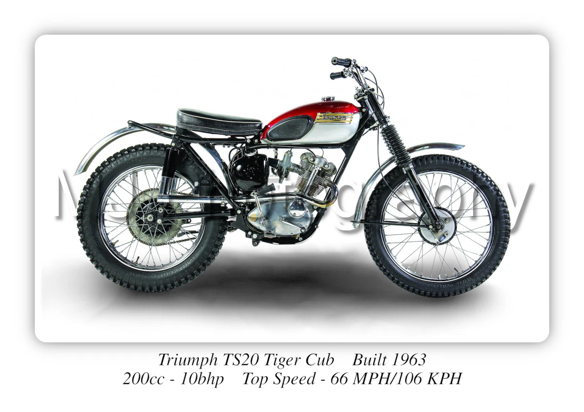 Triumph tiger cub sale ebay