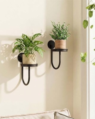 Leaf&lull Wall Plant Holder Planter with Wall Planters for Indoor Black 2 Pack