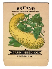 c.1920 Card Seed Yellow Crookneck Squash Empty Packet Color Graphics Fredonia NY