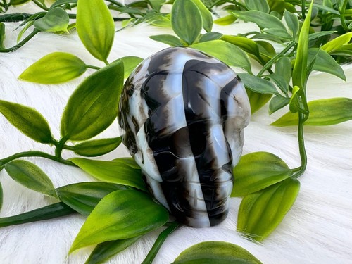 Sardonyx skull - 2" sardonyx crystal skull - natural black sardonyx gemstone - Picture 3 of 10