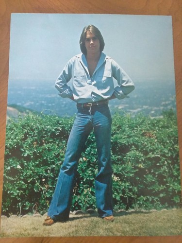 Shaun Cassidy '78 Concert Poster Fold 