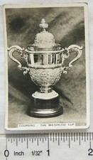 1935 Senior Service Sporting Events & Stars No. 48 The Waterloo Cup, coursing