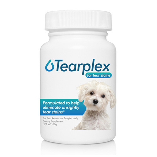 reptile specialists near me