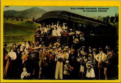 Vintage Wild Flower Excursion Postcard - Colorado Midland Train
