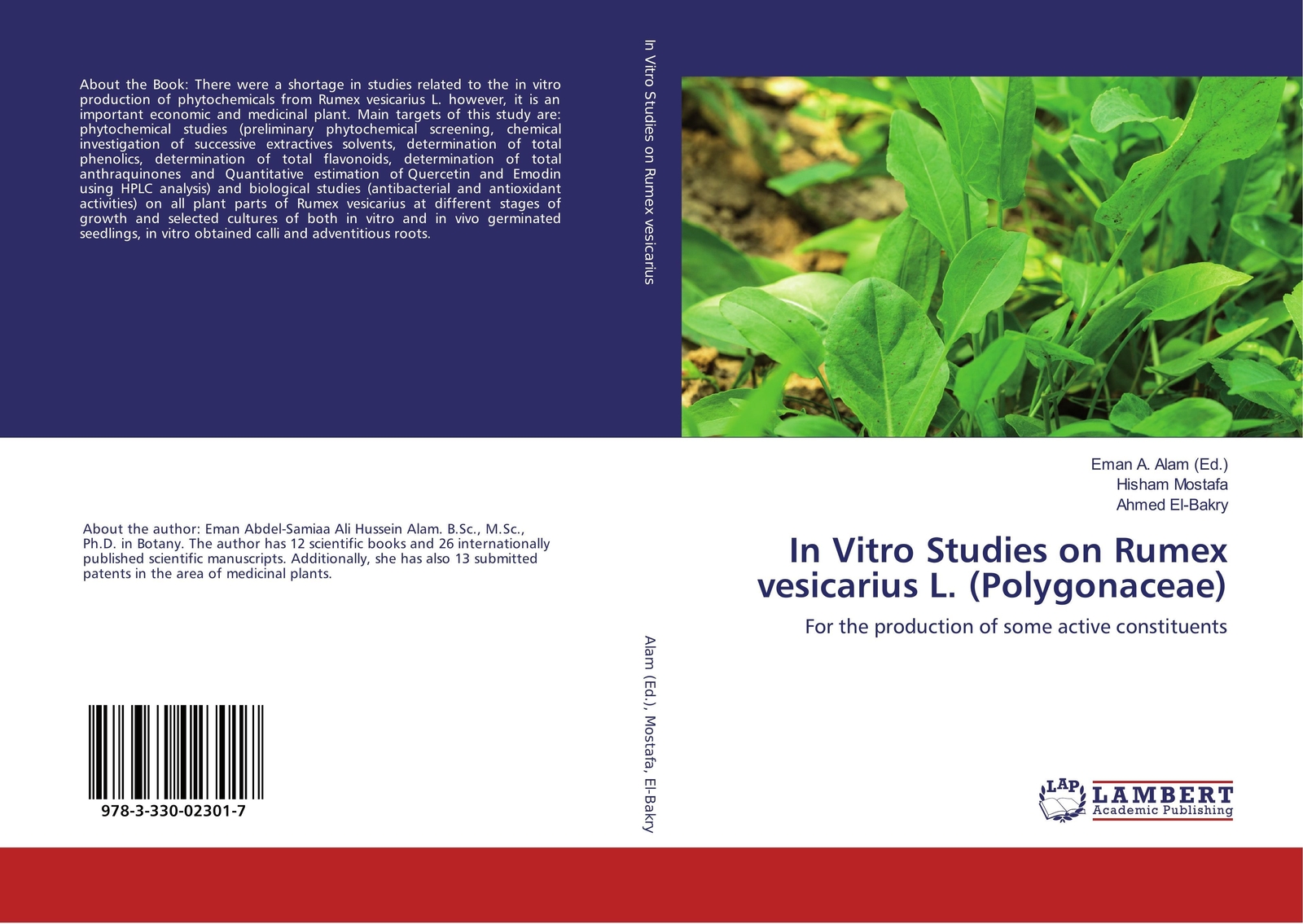 In Vitro Studies On Rumex Vesicarius L. (polygonaceae) Hisham Mostafa