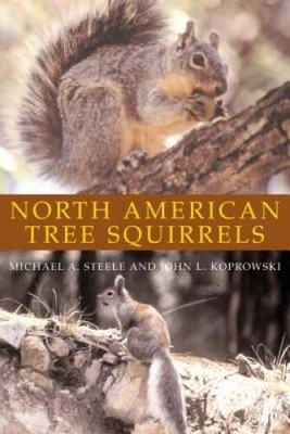 North American Tree Squirrels - Paperback By Steele, Michael A. - VERY GOOD