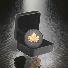 2025Canada Gilded Elegant Maple $20 1 Oz 99.99% Pure Silver Matte Proof Coin–RCM