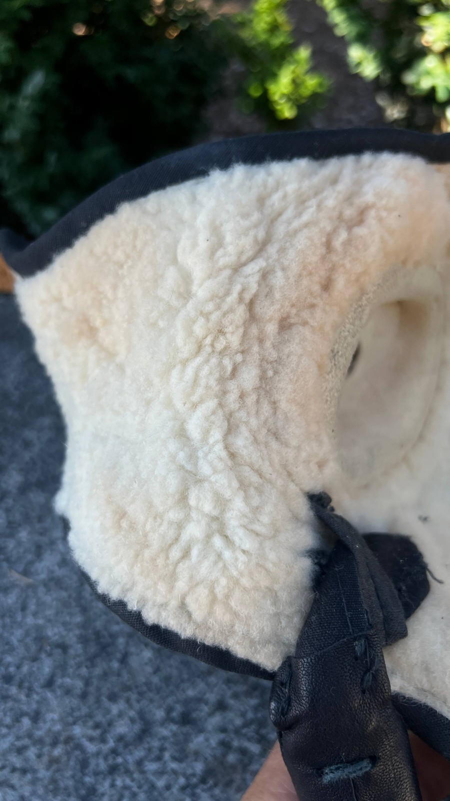 Photo 11/22