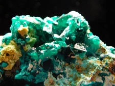 RARE! Deep GREEN DIOPTASE Crystal Cluster 100% Natural Tsumeb, Nambia 81.8gr
