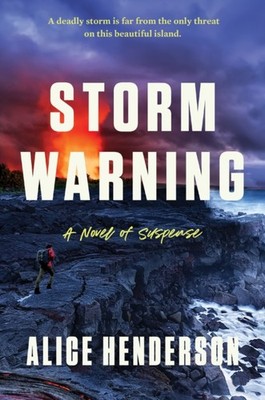 STORM WARNING HB by HENDERSON ALICE Hardback Self Help Business
