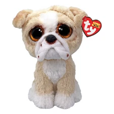 TY Beanie Boos - POOCH the English Bull Dog (Regular Size - 6 inch) - MWMTs
