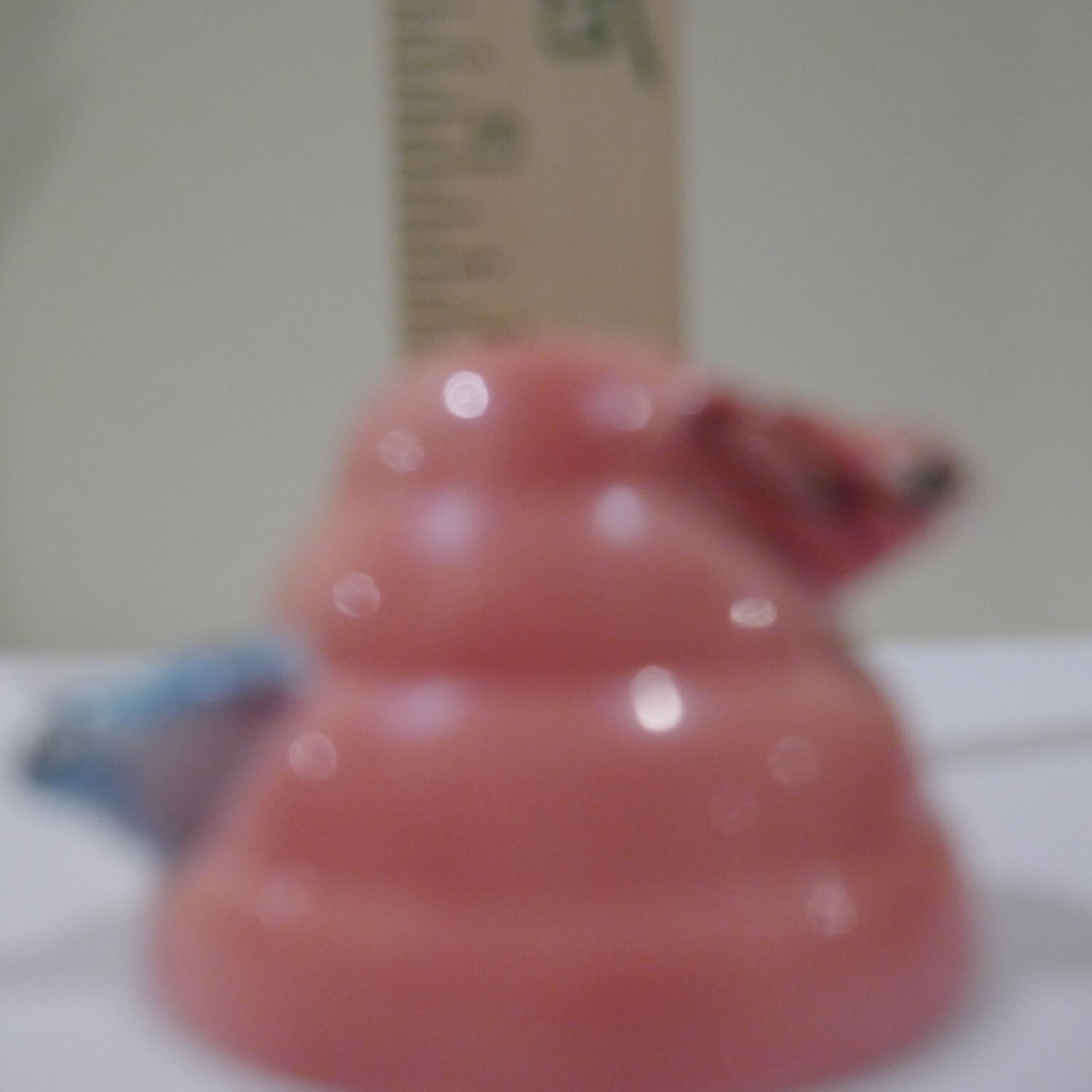 Bild 5 von 5