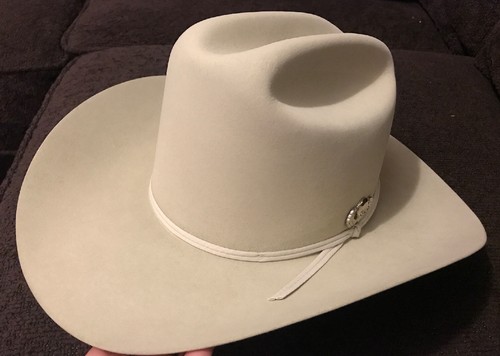 Silverbelly Stetson 10X Beaver Rancher 