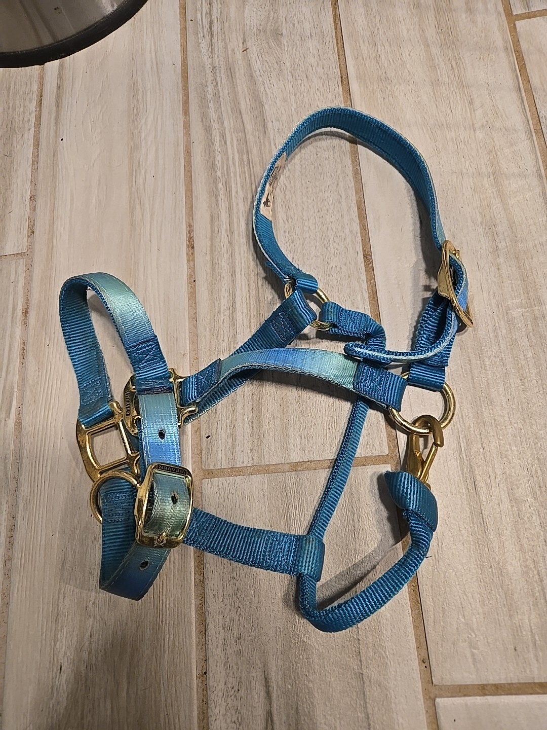 Weaver Original BLUE Nylon Halter, 800-1000 pounds.