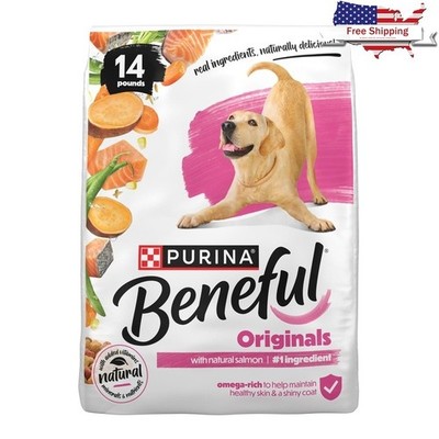 High Protein Dog Food Natural Salmon Kibble 24g Protein Vitamins Minerals 14lb
