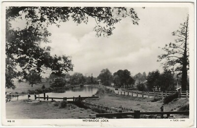 Surrey; Weybridge Lock, WB 11 RP PPC von Tuck, 1956 PMK, an Mr Jackson, Edinburgh