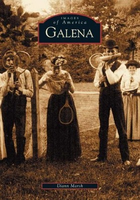 NEW Arcadia Publishing Galena, IL 9780738533858 Images of America Trade Paperbac