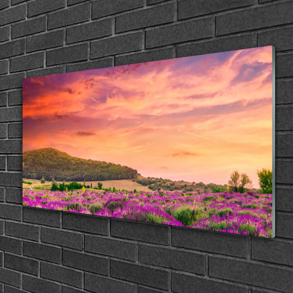 Tableau impression sur verre 100x50 cm prairie fleurs Tulup deco murale salon et chambre