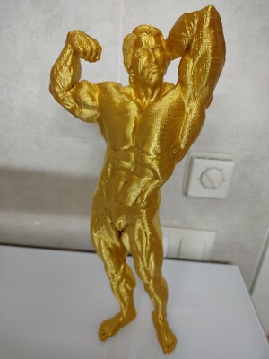 FIGURA ARNOLD SCHWARZENEGGER 40cm IMPRESIÓN 3D ORO 7 VECES MISTER OLIMPIA