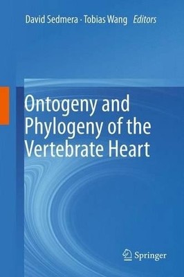 Ontogenese und Phylogenie des Wirbeltierherzens - 9781493902002