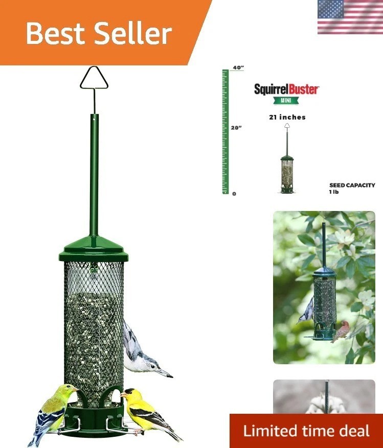 - Chew-proof Design - 1 Lb Seed Capacity