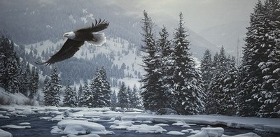 Daniel Smith - Free Flight - Bald Eagle - Signed & SN 468/950 - Rare Art Print