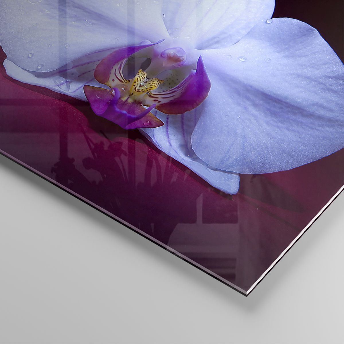 Tableau Verre 70x70cm Fleur Orchidée - Déco Murale Moderne, Brillant, Facile à Nettoyer - Pour Salon, Chambre