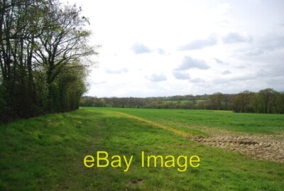 Foto 6x4 Waldrand nördlich von Crabtree Farm Baker's Cross c2011