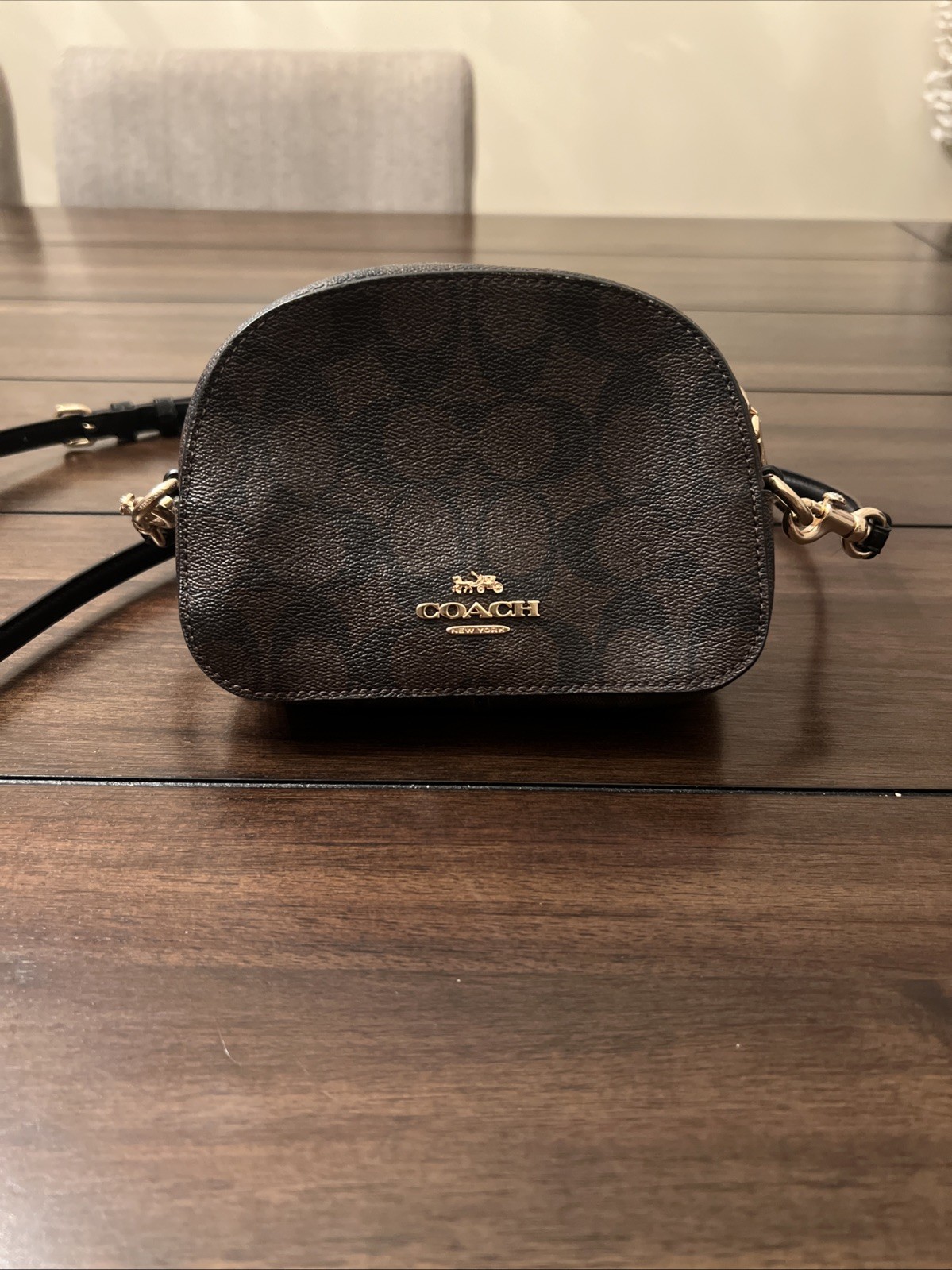 Coach Mini - image 1