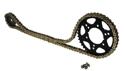 Kettensatz 16 41 für Honda CB900 F Hornet SC48 530er Teilung goldfarben
