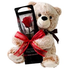 Preserved Flower, Preserved Rose, Teddy Bear with Single Red Rose, Gift,
