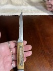 Vtg Case XX USA 5 Finn Fixed Blade Hunting/Fishing Knife. Stag handle No sheath  — photo 3