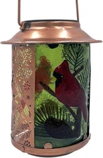10" H Cardinal Solar Lanterns Outdoor, Metal Glass Hanging Solar Lanterns wit...